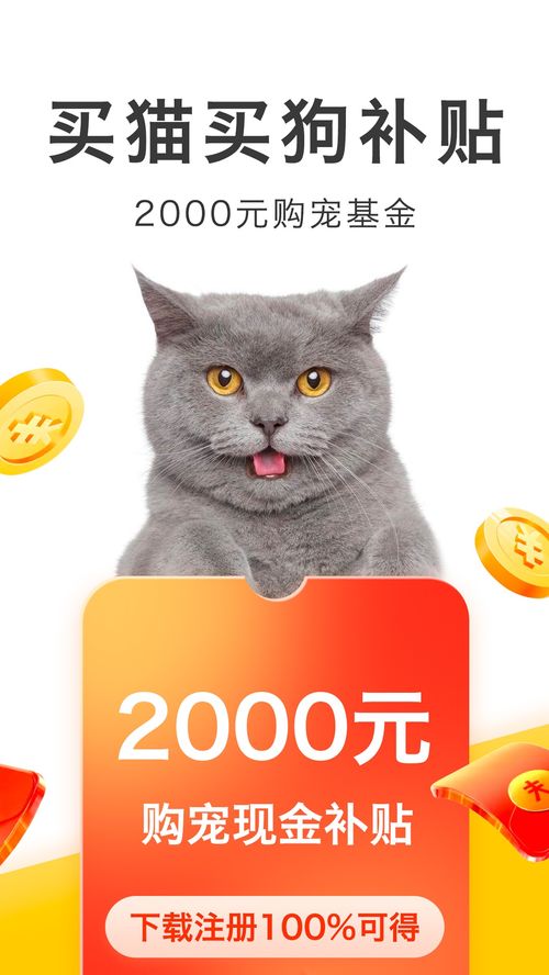 宠物配对连一连官方版下载-宠物配对连一连2024下载v.3.85
