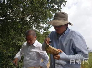 (科学家发现244亿年前古鱼化石)发现古鱼作品集：闪烁着时光沧桑的珍贵珍藏品